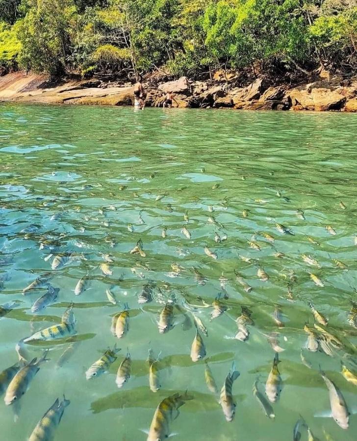 קרגואטטובה Pousada Recanto Som Do Mar מראה חיצוני תמונה